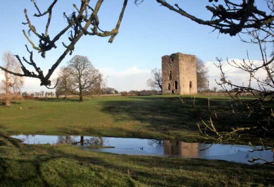Derrymacloughney Castle