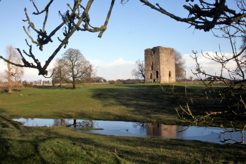 Derrymacloughney Castle | Michael Hurley