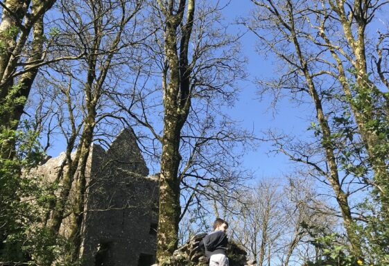 Photos from our recent walk