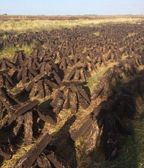 Footed Turf, Mountbellew | Clare Doyle