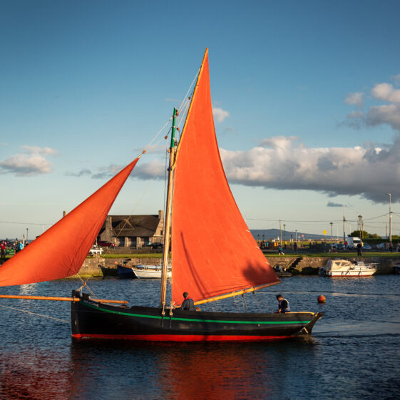 Galway Hookers | Roger Harrison