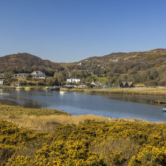 Clifden Quay | Roger Harrison