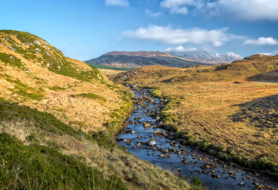Owenglin Valley
