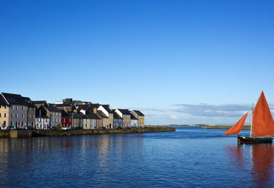 Galway Hookers