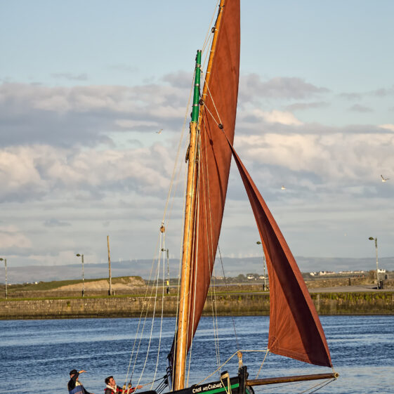 Galway Hookers | Roger Harrison