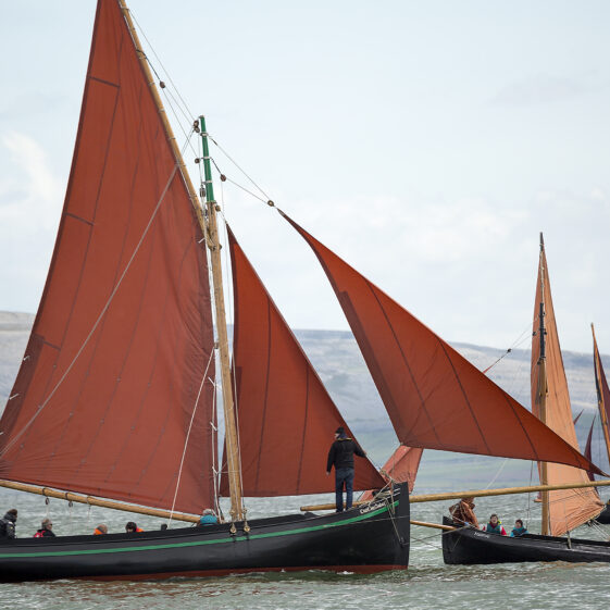 Galway Hookers | Roger Harrison