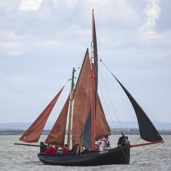 Galway Hookers | Roger Harrison