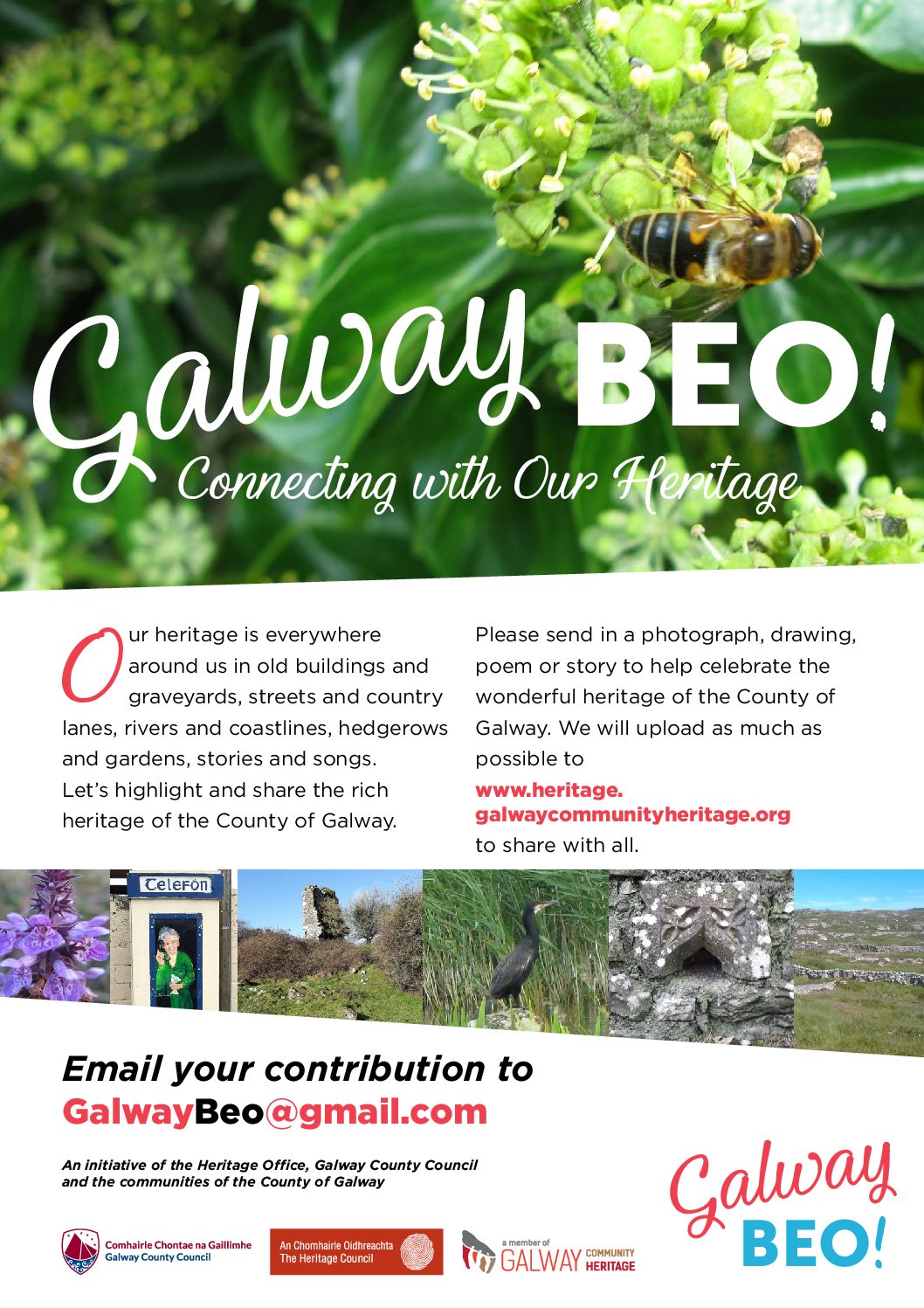 Galway Beo project