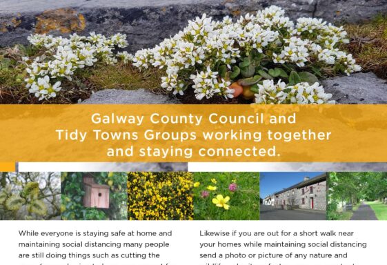 Virtual Tidy Town's project