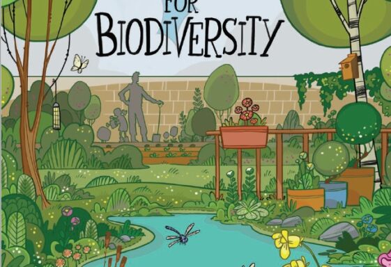 Gardening for Biodiversity