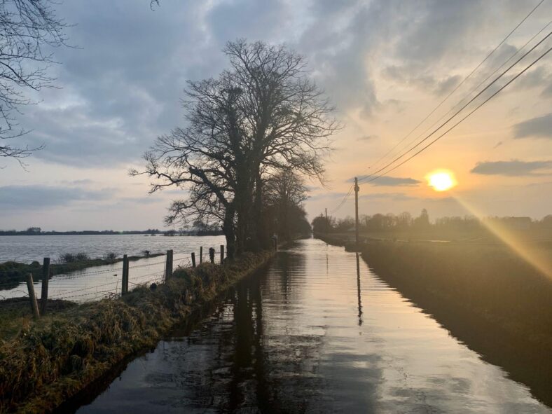 Glenamaddy | Siobhán Power