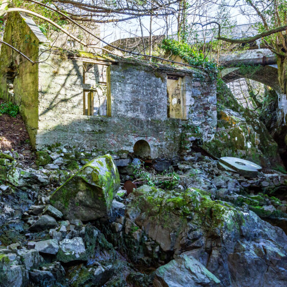 Hydro-Electric Plant | Roger Harrison