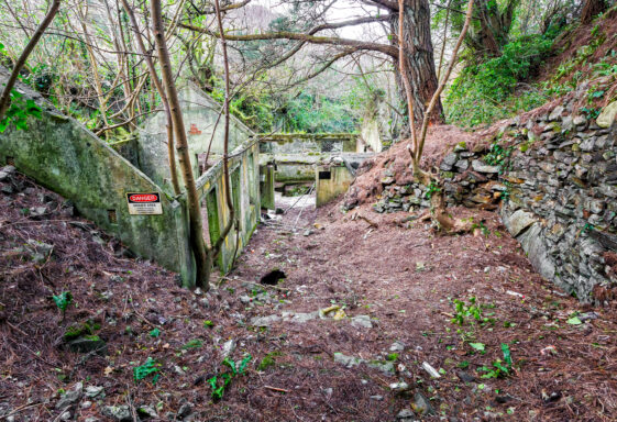 Hydro-Electric Plant