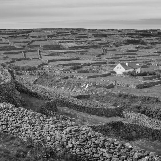 Stone Walls of Inish Oirr | Roger Harrison