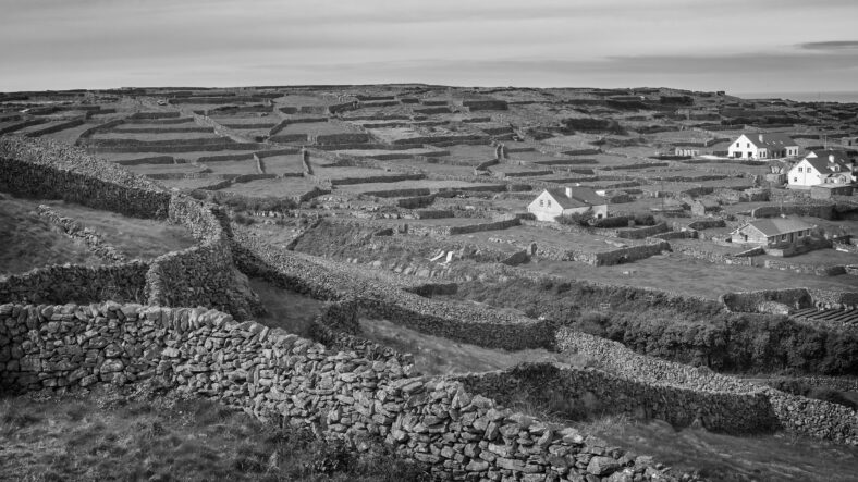 Stone Walls of Inish Oirr | Roger Harrison