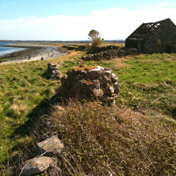 Isl. Eddy Castle - Masonry Stump from W | Paul Gosling