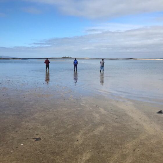 Waiting for the tide to go out at The ‘Cush’ Island Eddy | Diarmuid Kelly