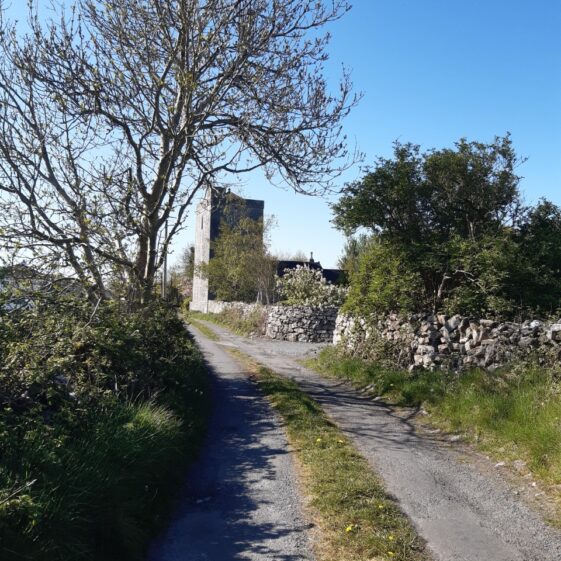 Killeen Castle laneway | Marie Boran
