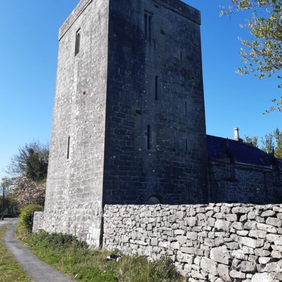 Killeen Castle from the north | Marie Boran