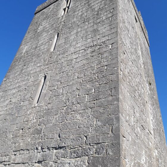 Killeen Tower House south east wall | Marie Boran