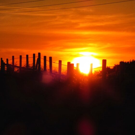 Kiltullagh11 Sunset | Michelle Mitchell