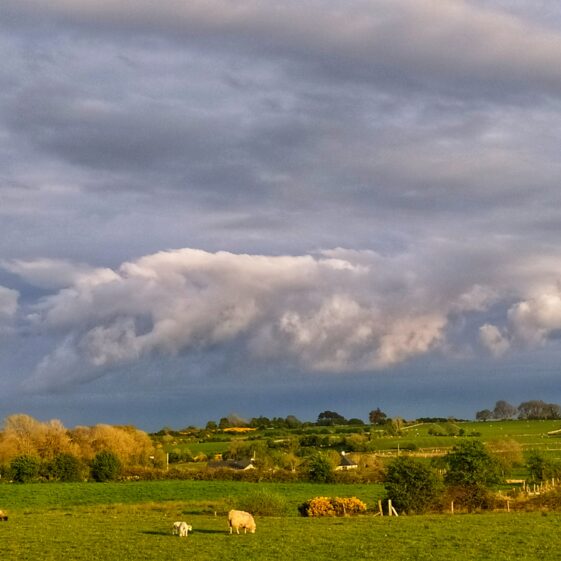 Kiltullagh18 Kiltullagh sky | Michelle Mitchell