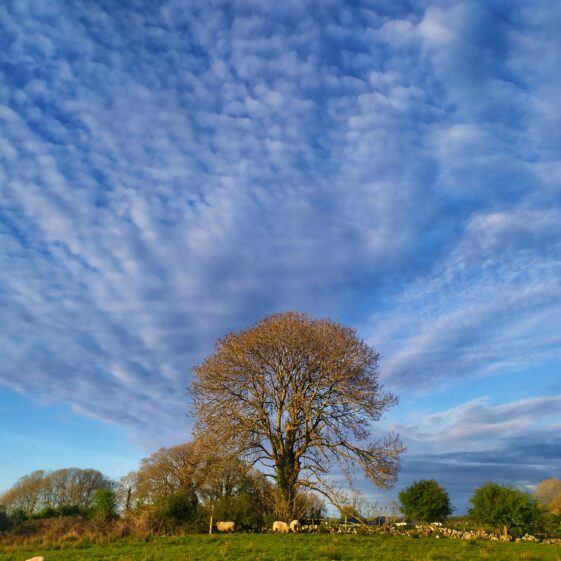 Kiltullagh19 Kiltullagh scenery | Michelle Mitchell