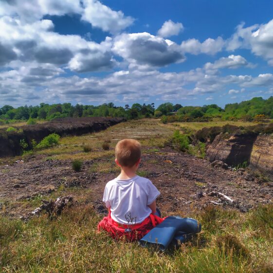 Kiltullagh24 A day in the bog | Michelle Mitchell