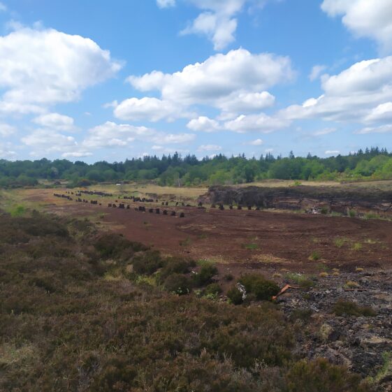 Kiltullagh25 Bog | Michelle Mitchell