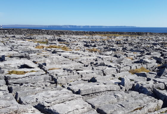 Karst Limestone pavement on Inis Oírr,