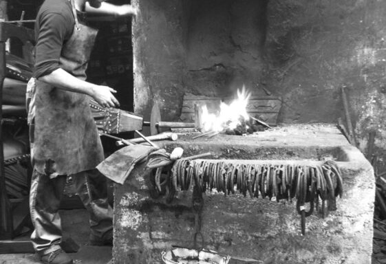 Madden's Forge