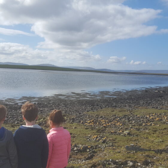 Galway Beo | Fergal Landy