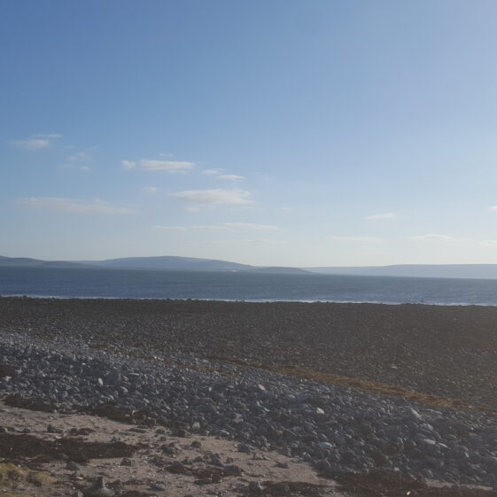 Galway Beo | Fergal Landy