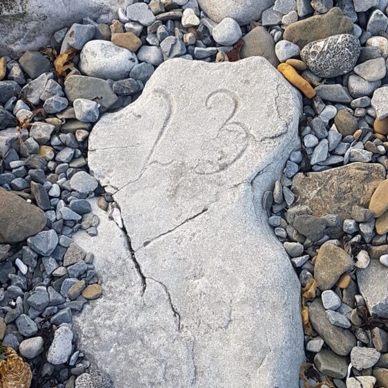 An old milestone in Rinville | Wesley Coyne