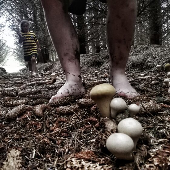 Interacting with our natural heritage! | Katie O'Connor