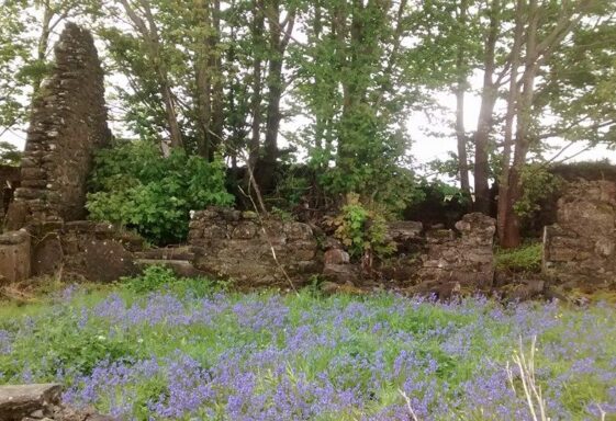 Old Cottage