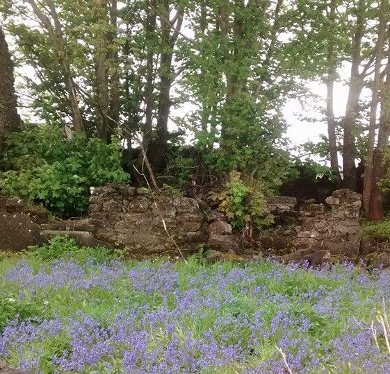 Old Cottage | Clare Doyle