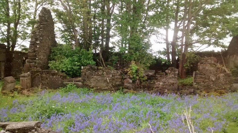 Old Cottage | Clare Doyle