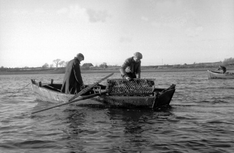Oyster Dredging from a Galway Bay 'Flat' | Cuan Beo
