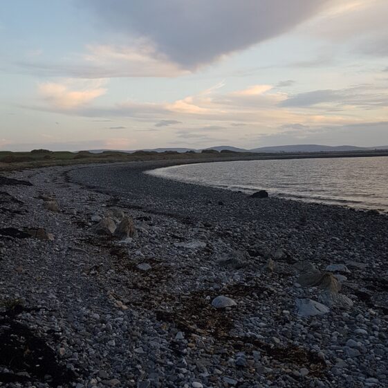 Reville, Oranmore | Wesley Coyne 