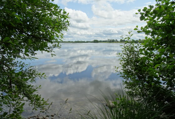 Summerville Lough