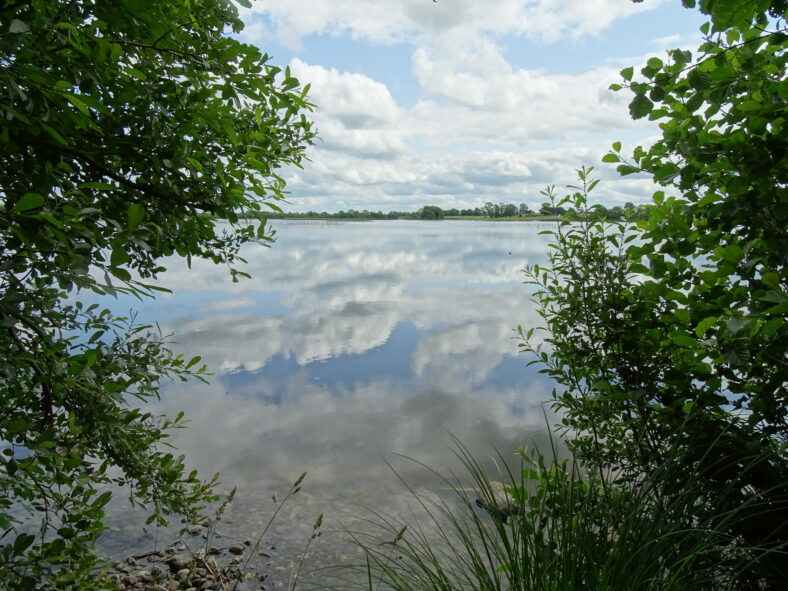 Summerville Lough | Moylough Heritage Society