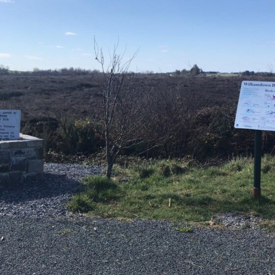 Start of bog walk in Williamstown | Noel Finnegan