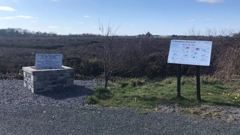 Start of bog walk in Williamstown | Noel Finnegan