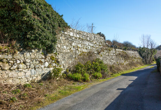 Workhouse Boundary Wall