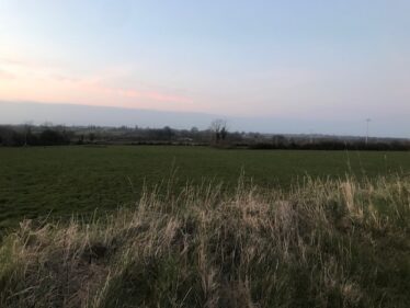 Ballyfinegan | Carmel O'Rourke