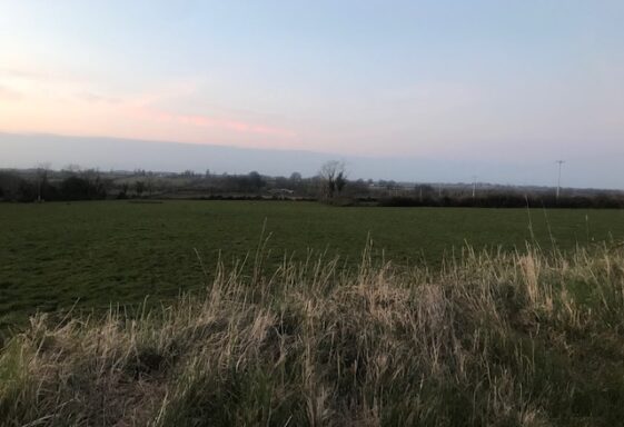 Ballyfinegan