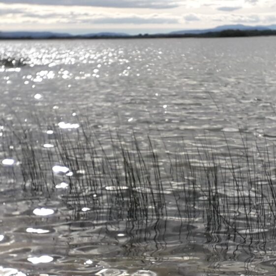 Lough Corrib | J.H., Annaghdown