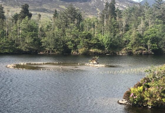 Ballinafad lough Crannog in full view