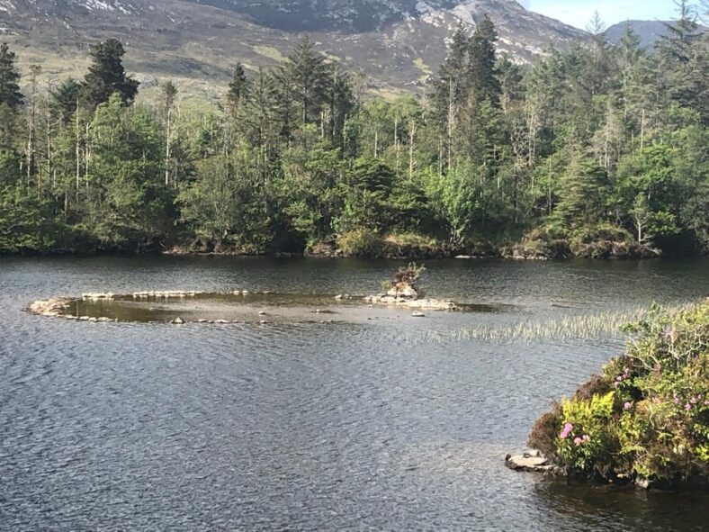 Crannog | Karen Mannion